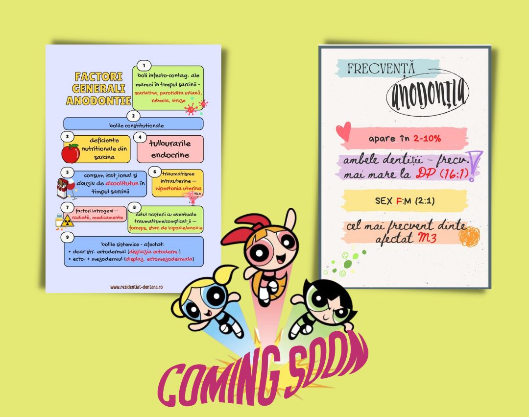 Flashcard prezentare